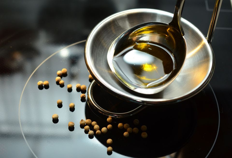 Mitos sobre o azeite: mestres explicam