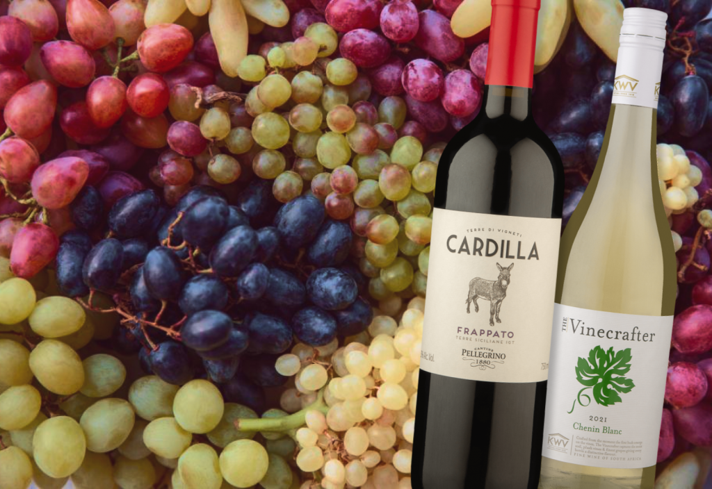 Amplie sua jornada no mundo dos vinhos_ surpreenda-se com uvas menos populares